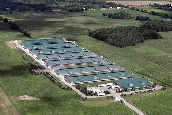 Jiangxi Maison Intelligente Inc.