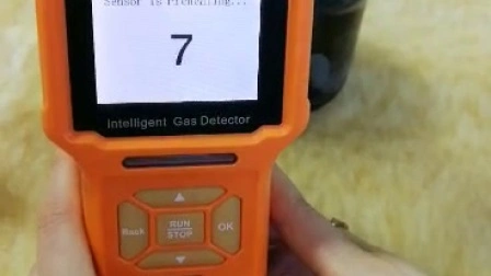 Détecteur multi-gaz portable IP66 4 en 1 pour détecteur intelligent Détecteur de combustibles et toxiques Lel/O2/Co/H2s