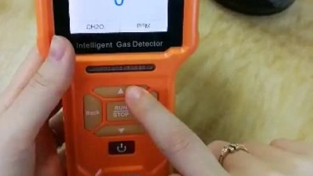 Détecteur de gaz d'ammoniac portable IP66 avec capteur de gaz électrochimique (NH3 0-100ppm)